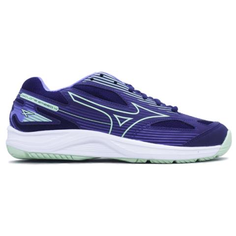 Sepatu volly mizuno 2018 top